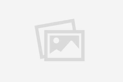 Todo Mundo em Pânico 6