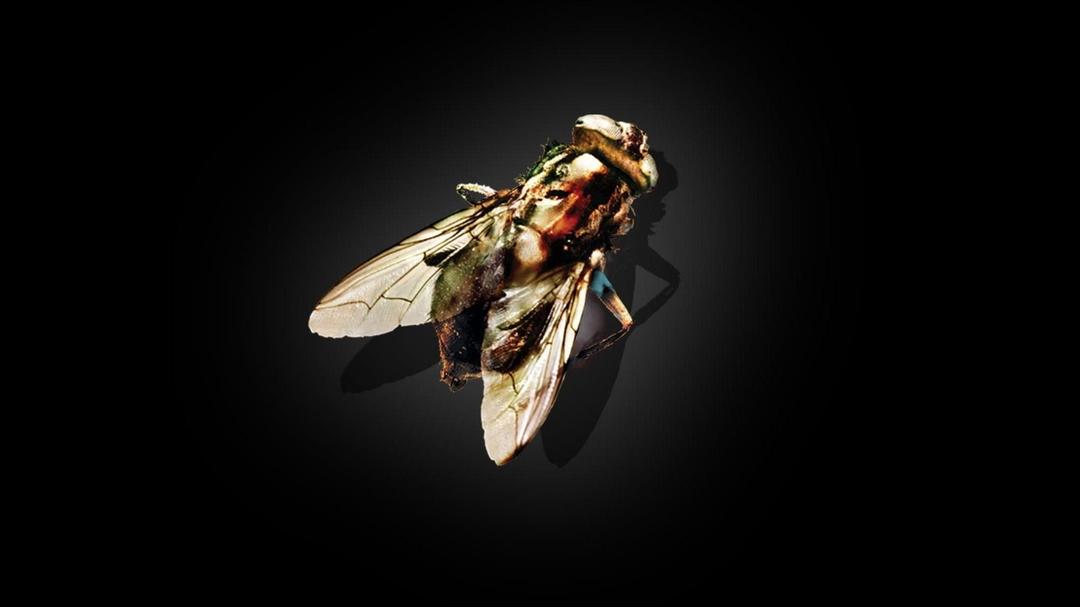 A Mosca