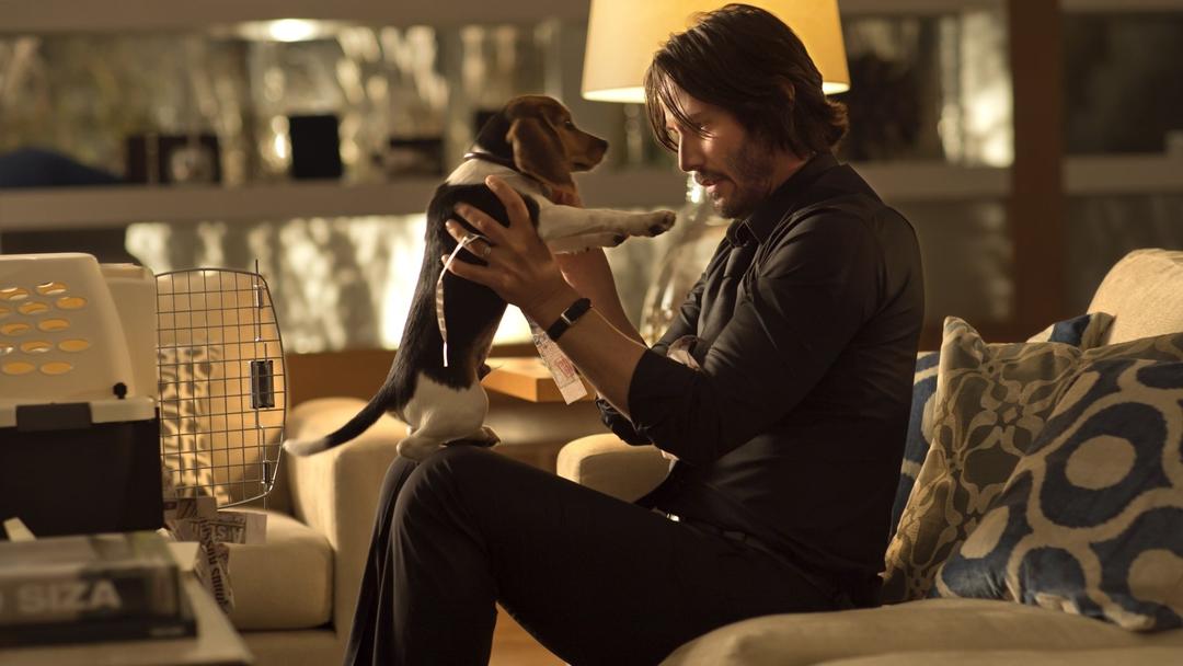 John Wick - De Volta ao Jogo