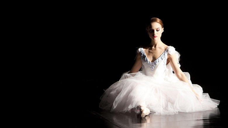Cisne Negro
