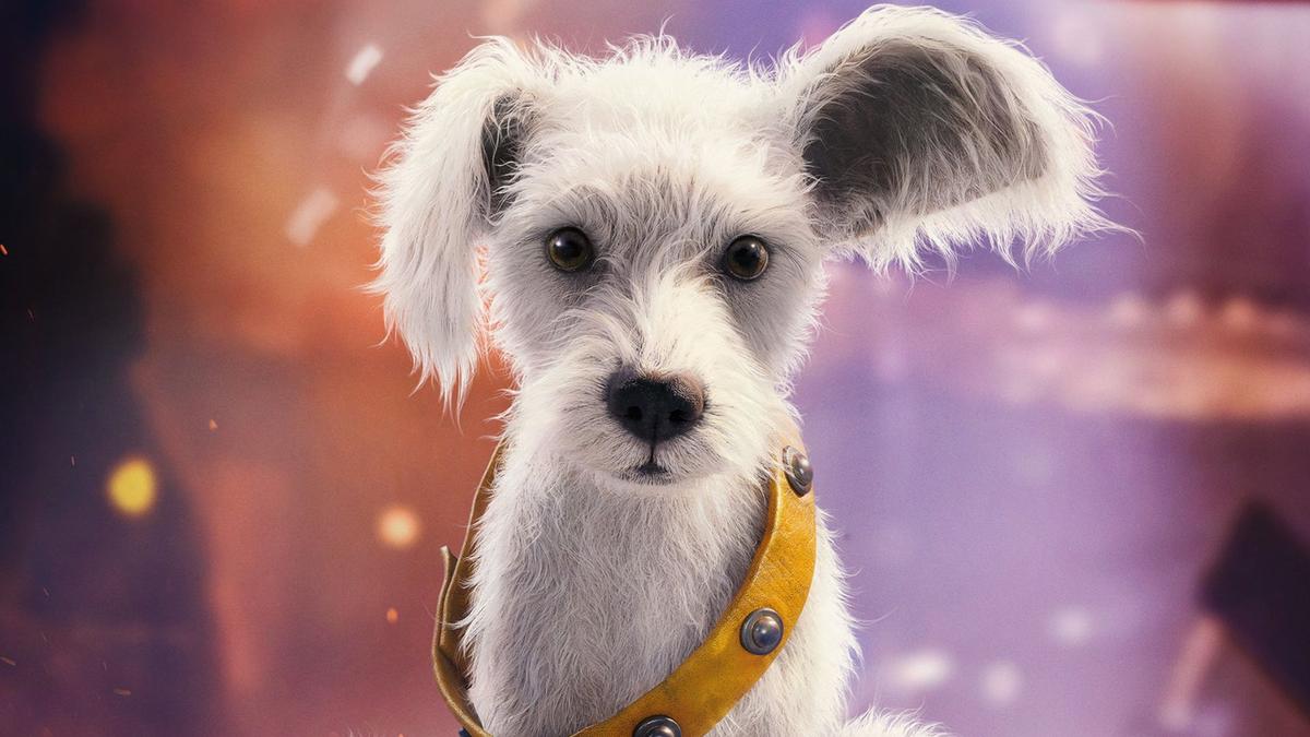 Teaser de Supergirl destaca Krypto filhote e revela versão mais sombria da heroína no novo DCU